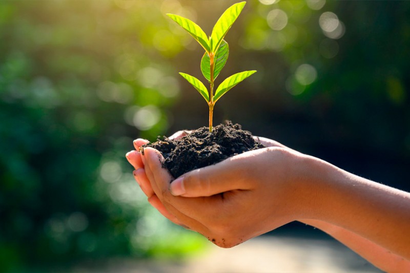 Sustentabilidade e Futuro: A Visão de Ernani Rezende Kuhn